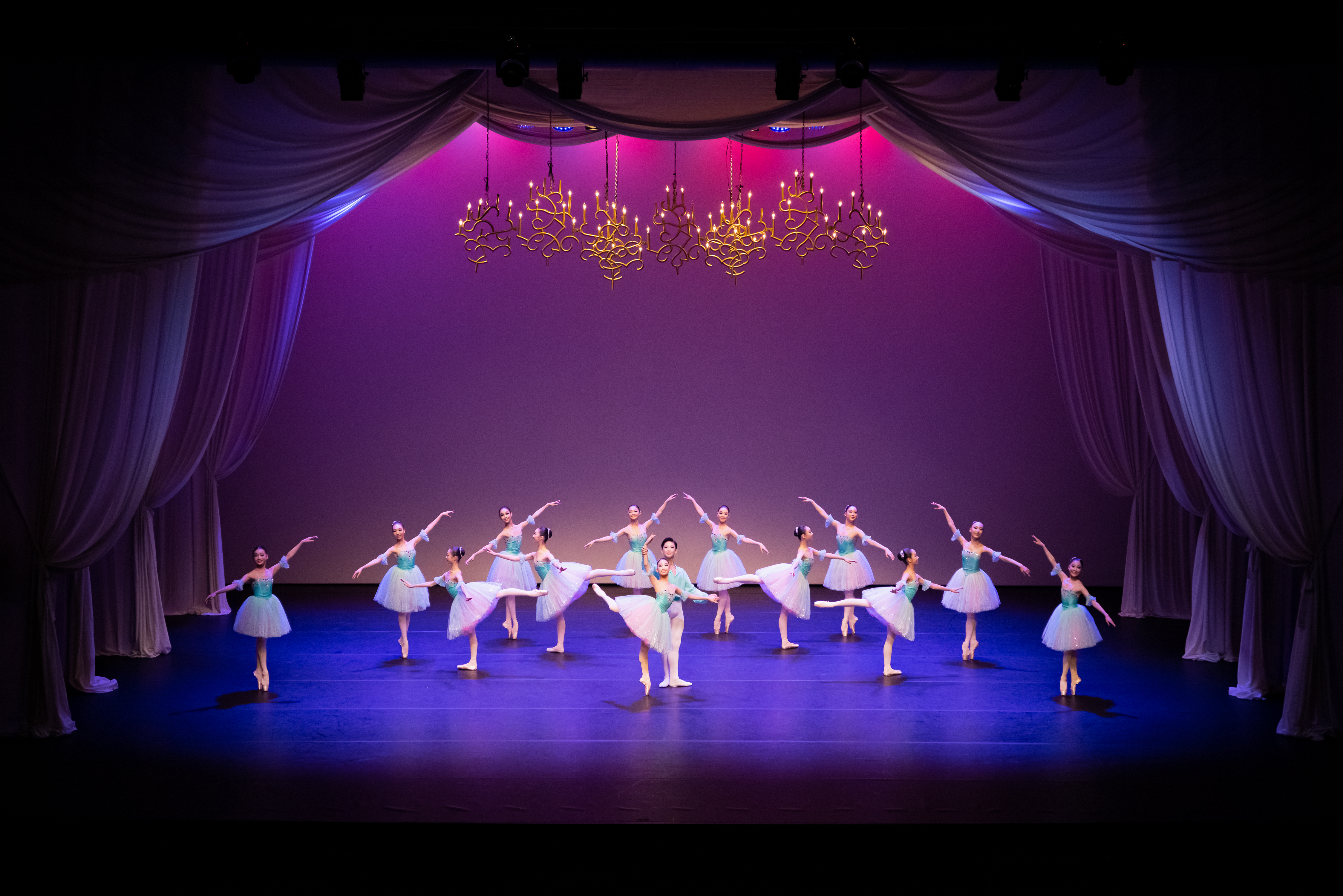 2021하늘바람꽃4